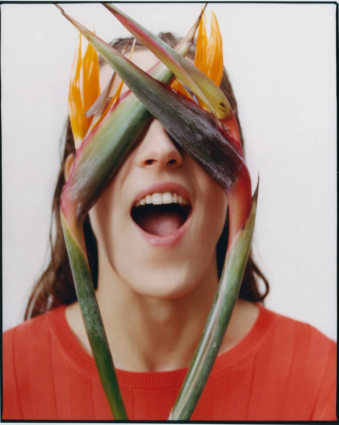 A Coruña, Jan 2019, Tofjan