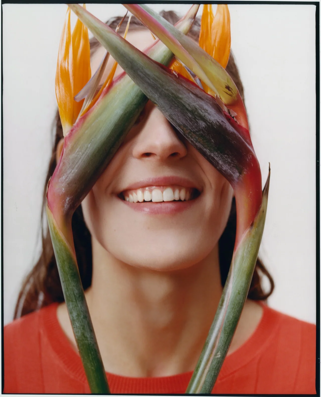 A Coruña, Jan 2019, Tofjan