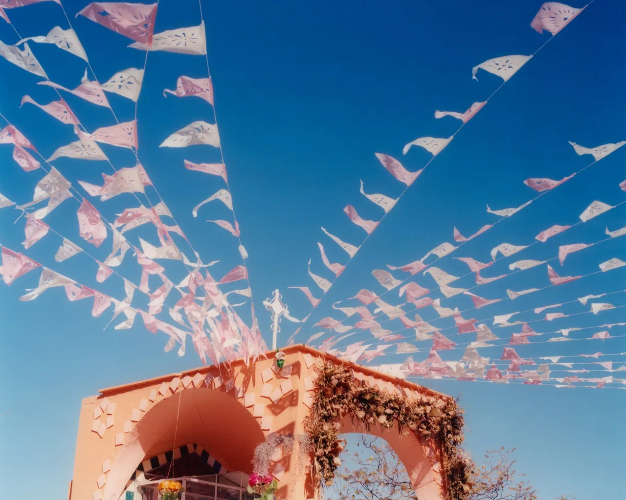 Sacred Smoke, Tofjan