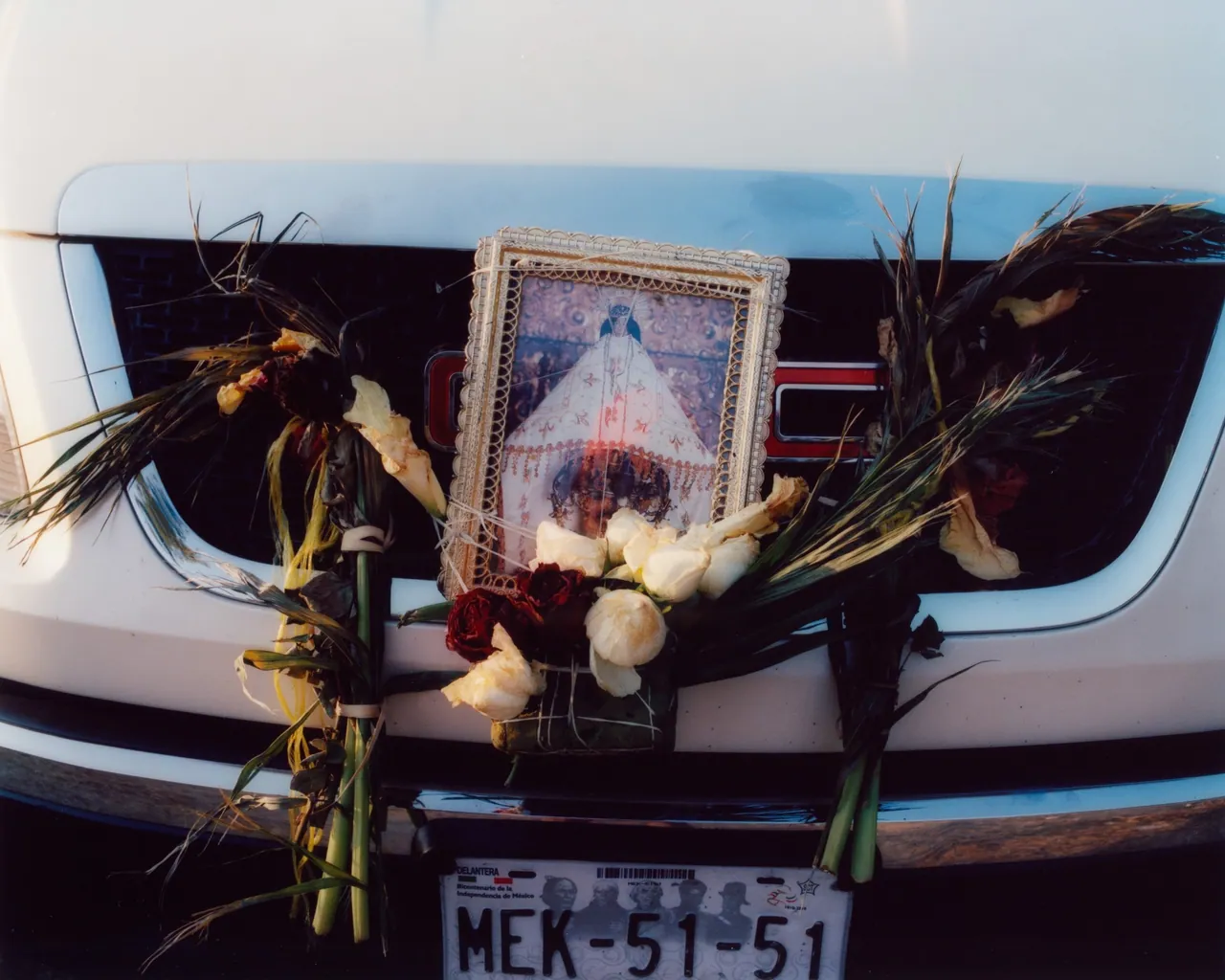 Sacred Smoke, Tofjan