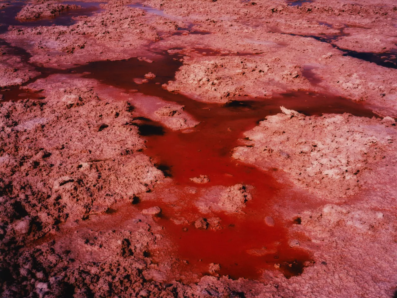 Perros Calientes, Tofjan