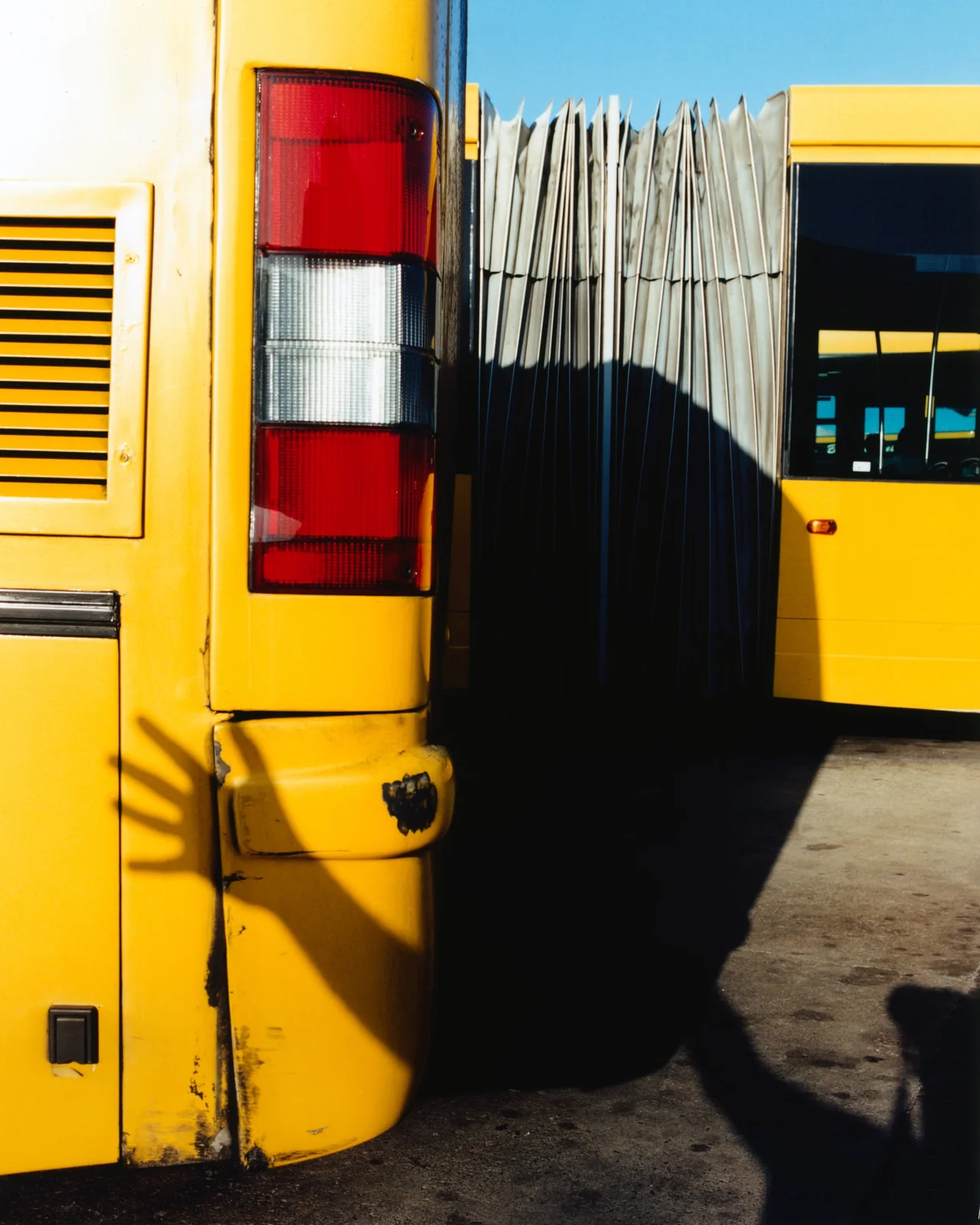 Gran Canaria, Feb 21, Tofjan