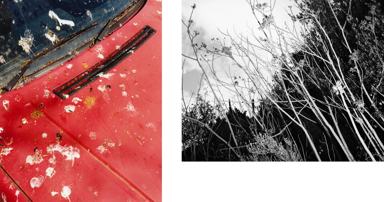 Smoke and Mirrors, Tofjan