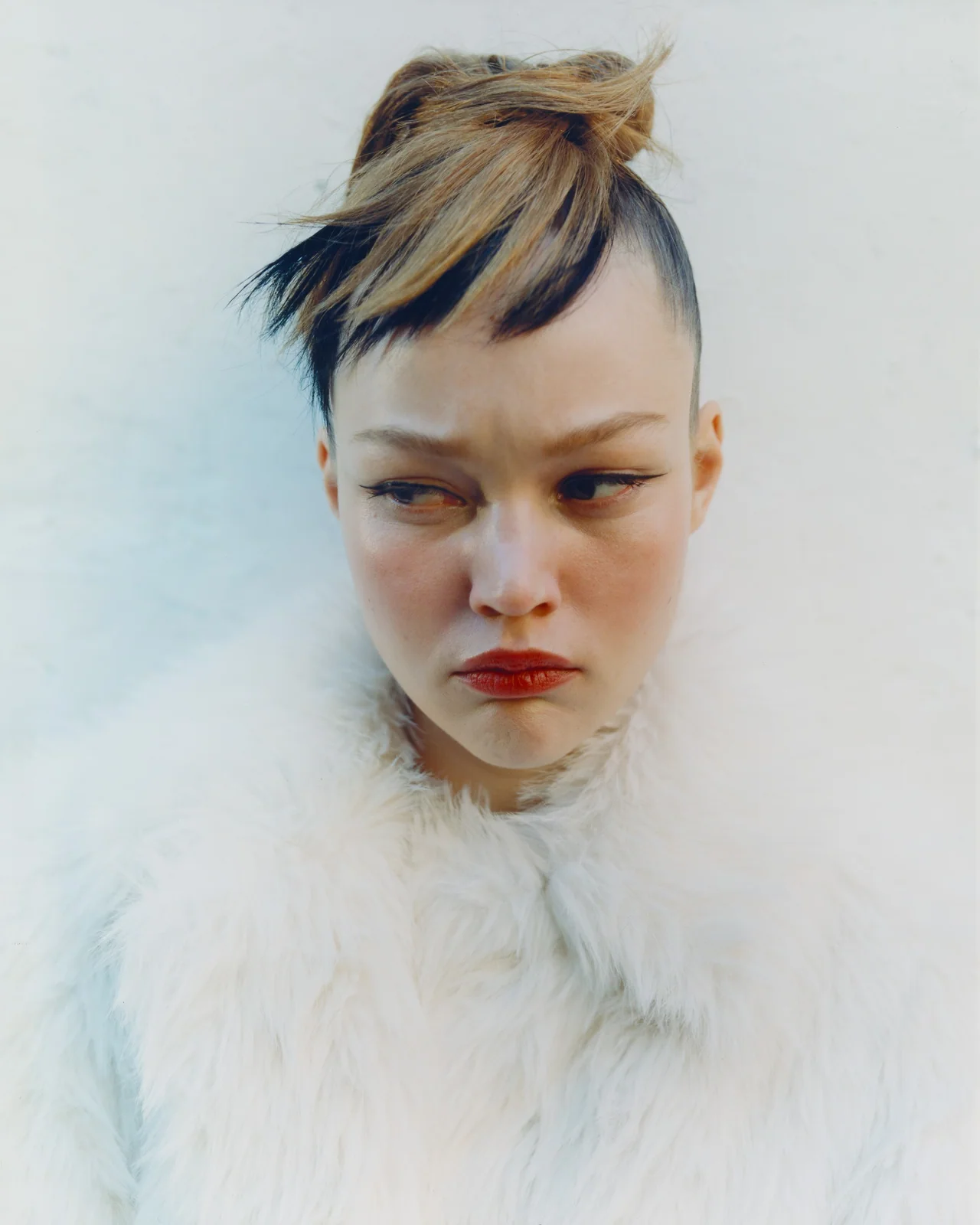 Cremona, Oct 23, Tofjan