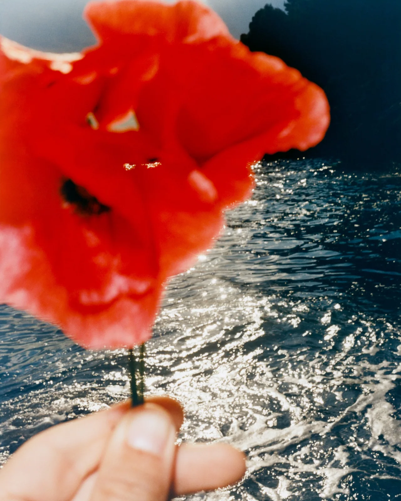 Amalfi, May 24, Tofjan