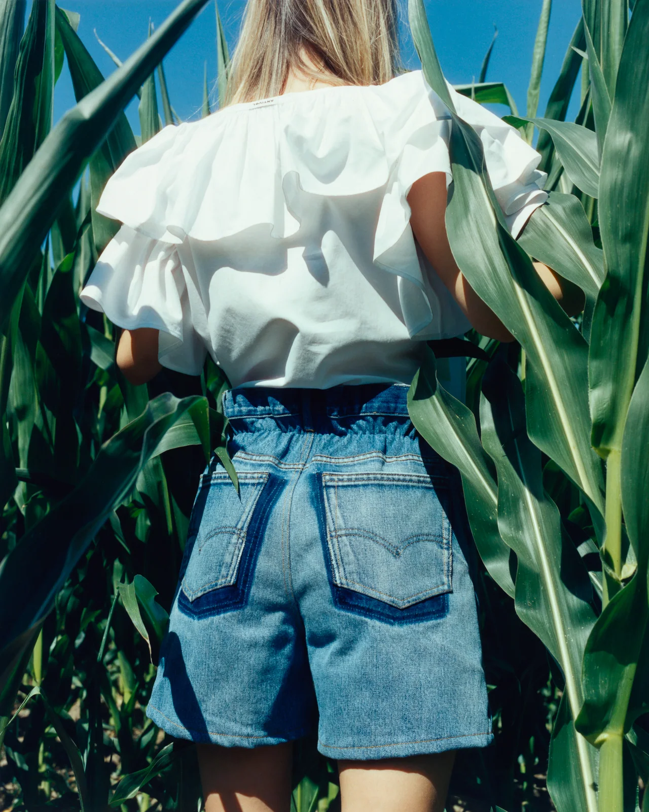 Rambouillet, Jul 2025, Tofjan