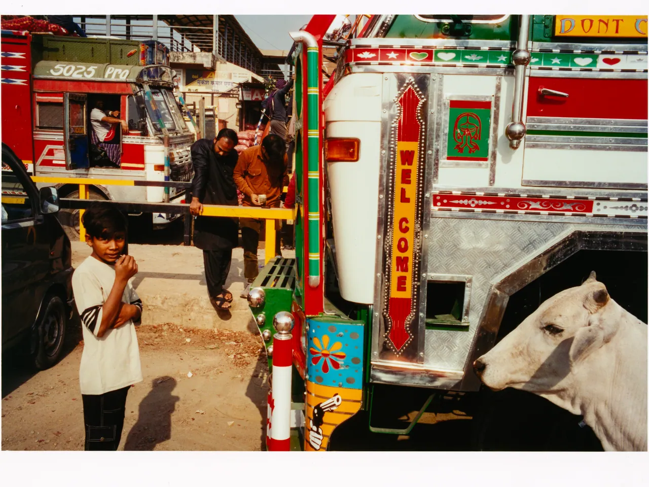 A Slice of Delhi, Tofjan