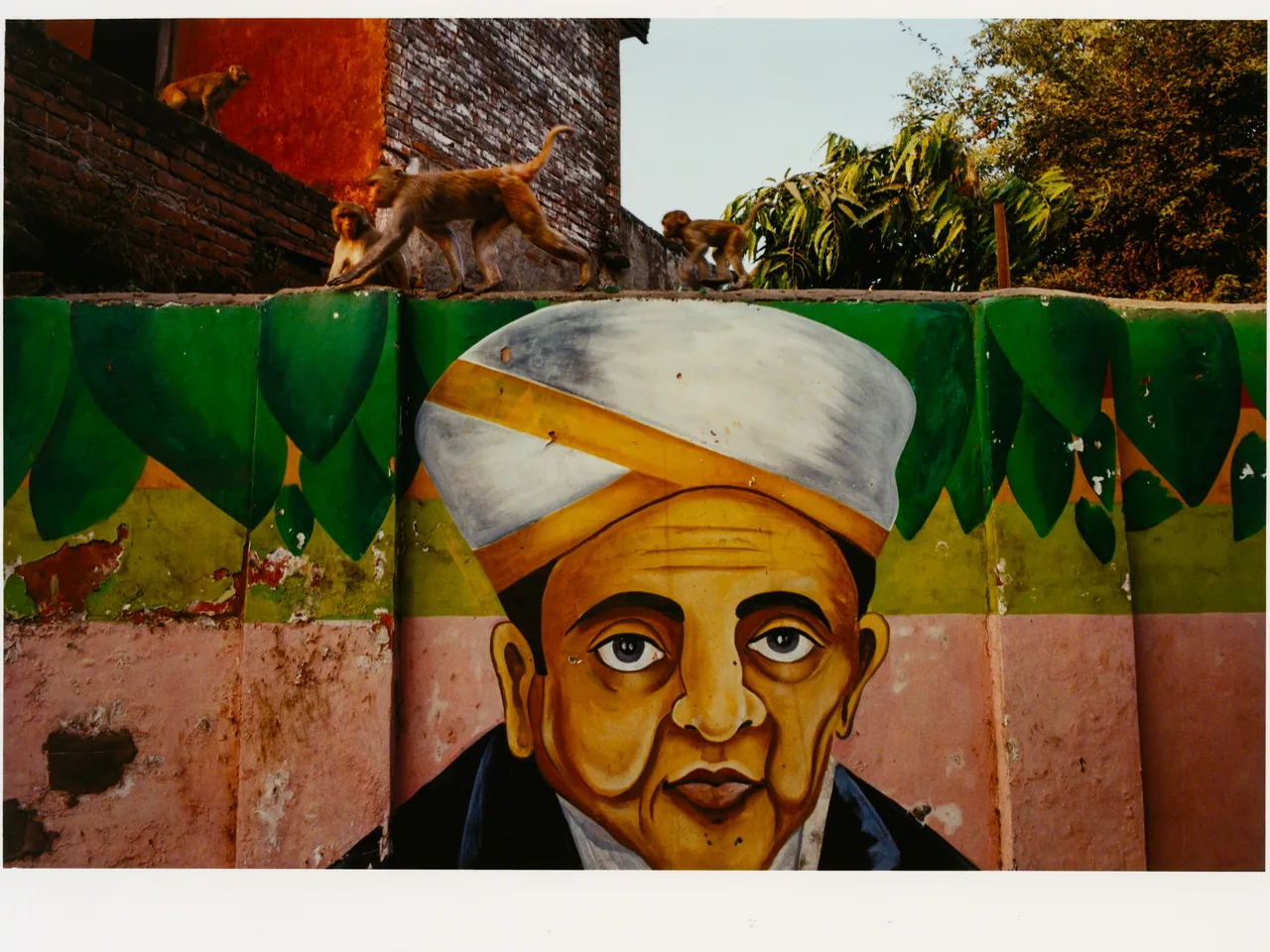 A Slice of Delhi, Tofjan