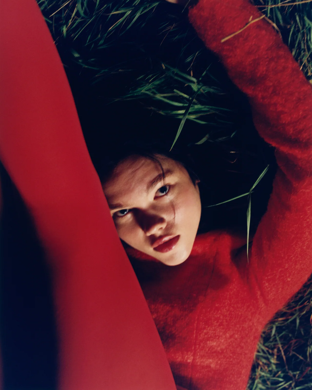 Puss Puss 14, Tofjan